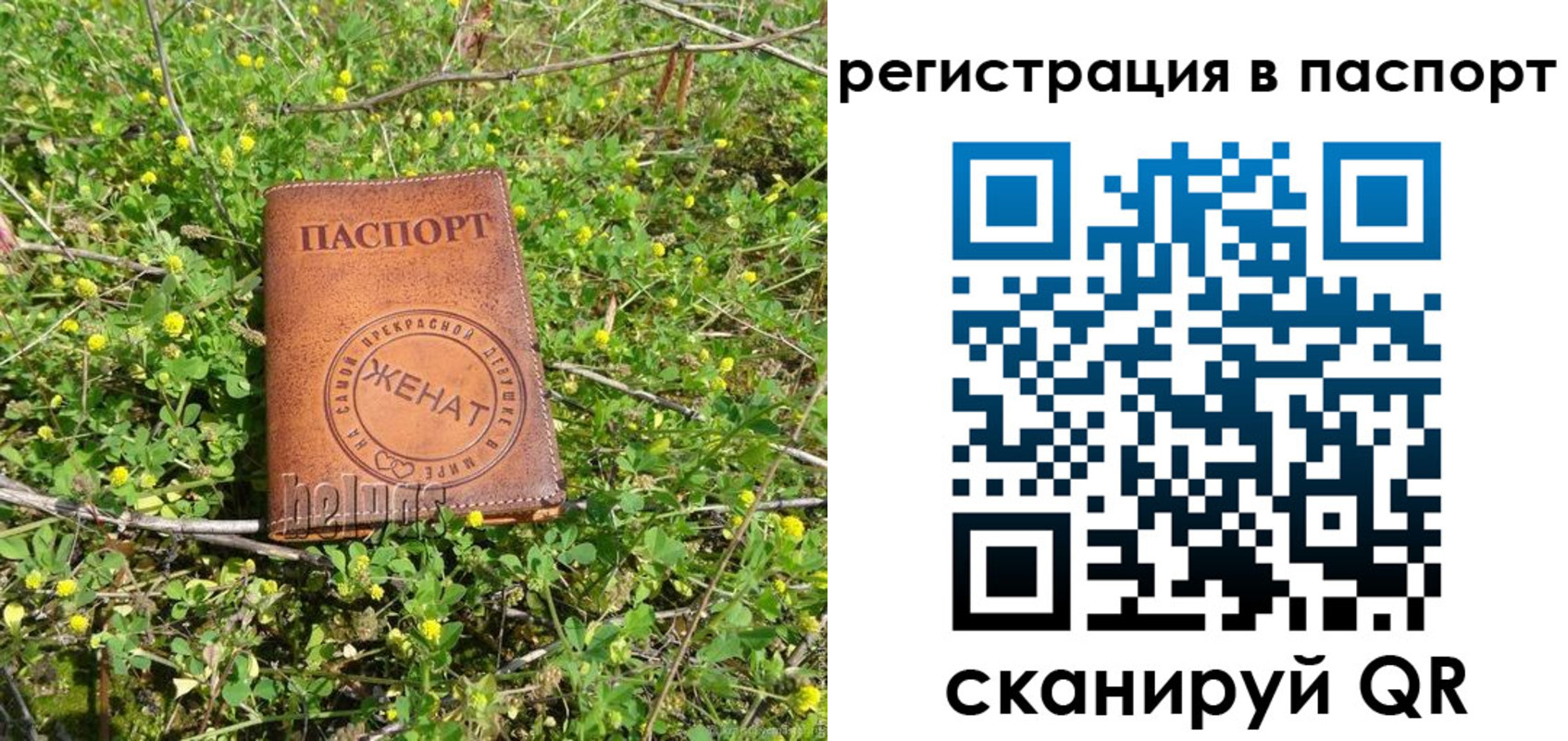 прописка законно в Подольске